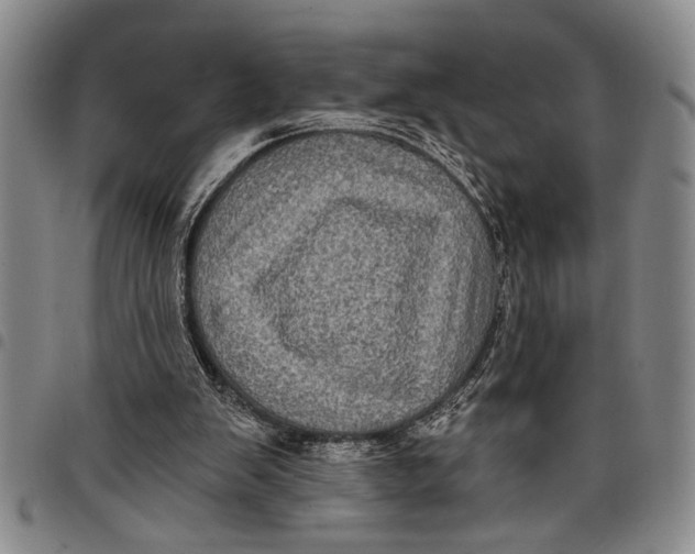X0000097970103200804141103