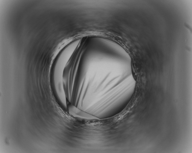 X0000097970104200804141103
