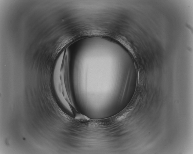 X0000097970109200804141103
