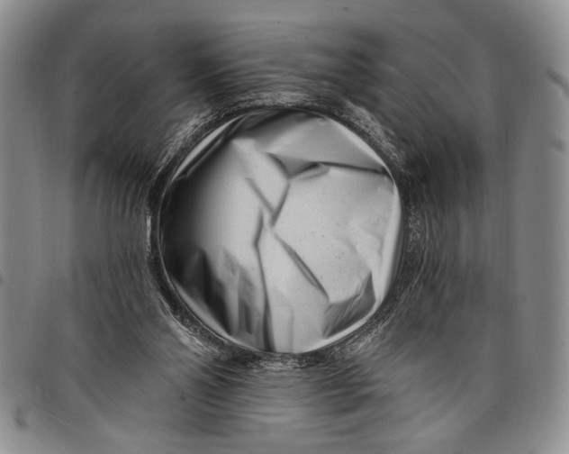 X0000097970110200804141102