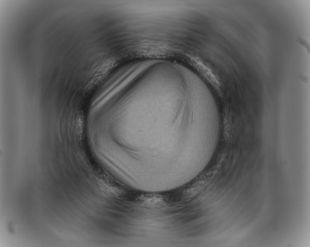X0000097970113200804141102