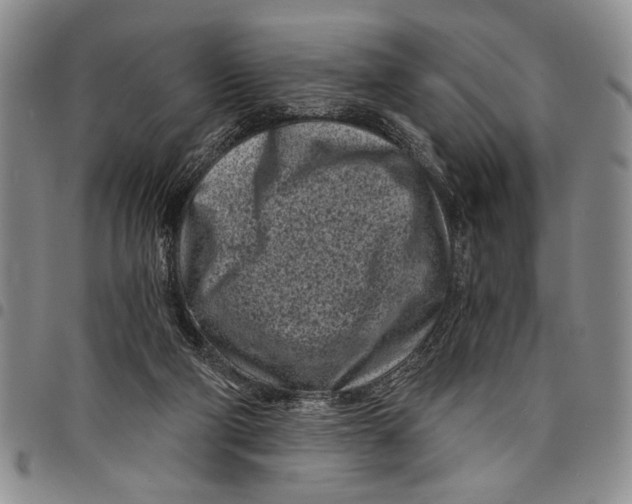 X0000097970114200804141102