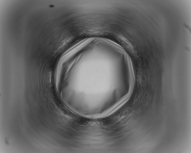 X0000097970115200804141102