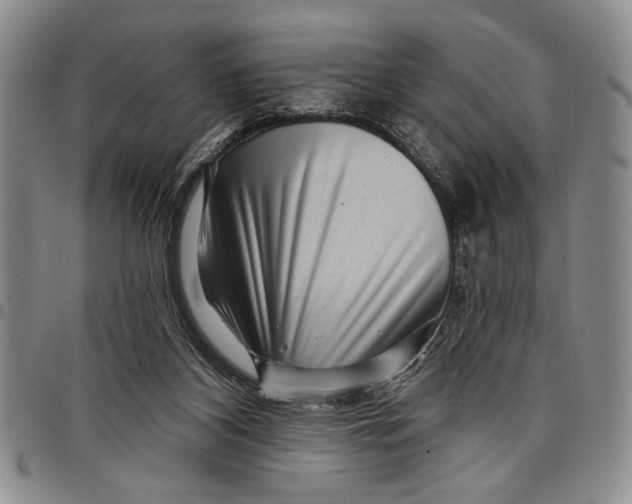 X0000097970116200804141102