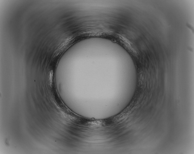 X0000097970118200804141102