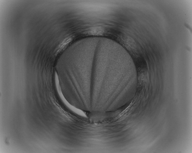 X0000097970120200804141102