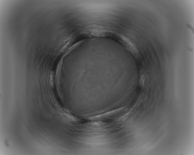 X0000097970121200804141102