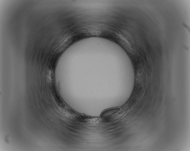 X0000097970122200804141102