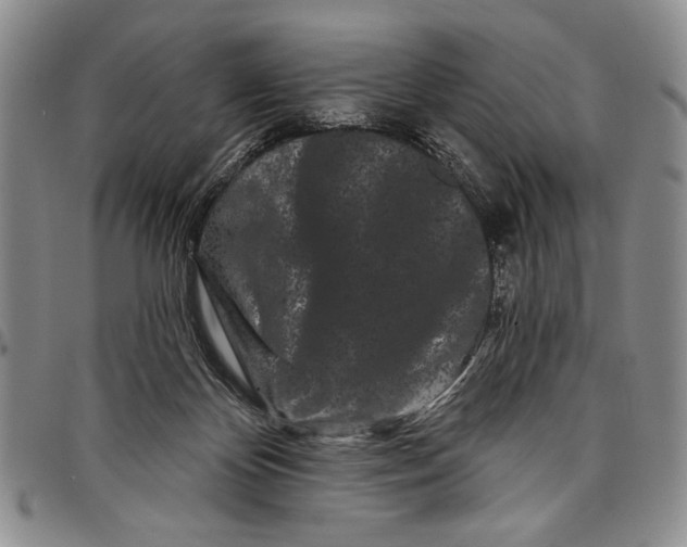 X0000097970124200804141102