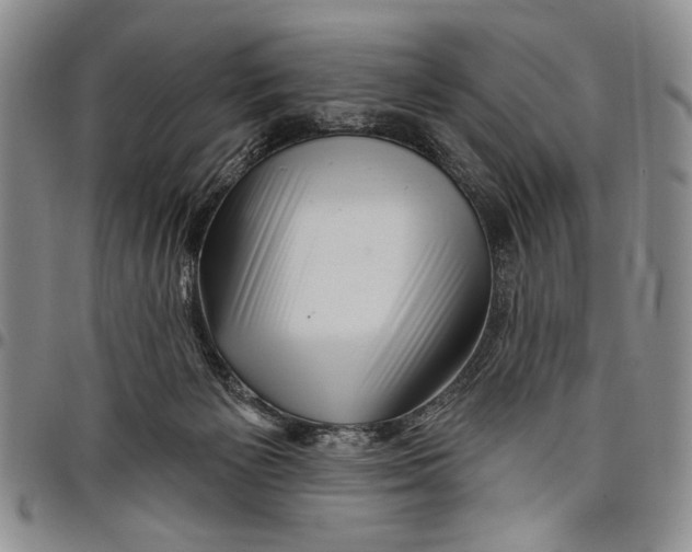 X0000097970125200804141102