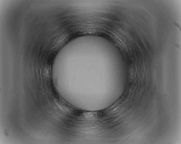 X0000097970126200804141102