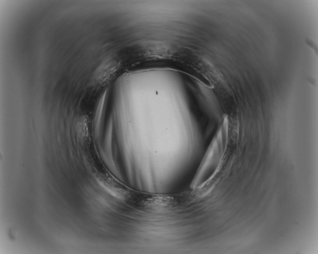 X0000097970128200804141102
