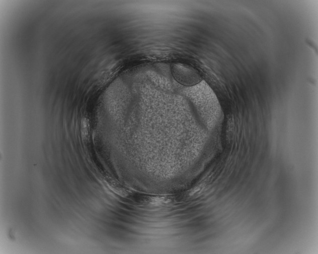 X0000097970130200804141102