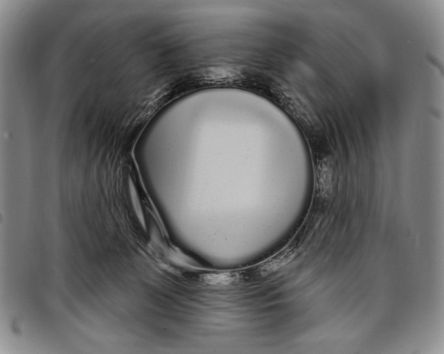 X0000097970131200804141102