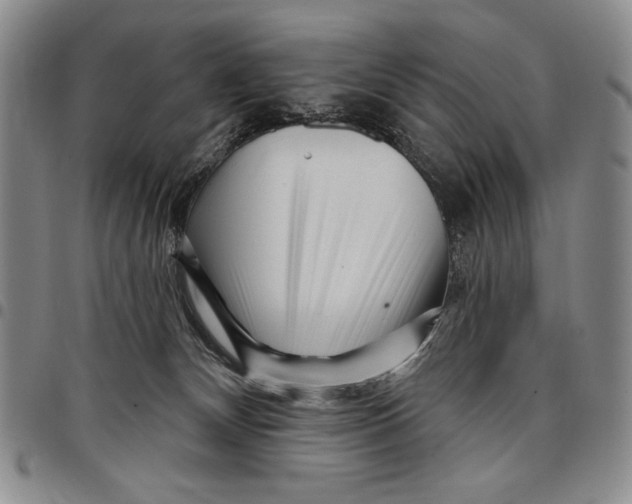 X0000097970132200804141102