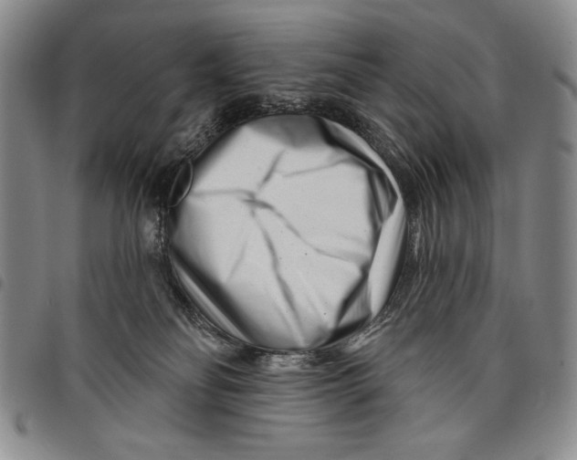 X0000097970134200804141102