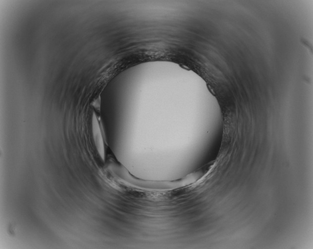 X0000097970136200804141102