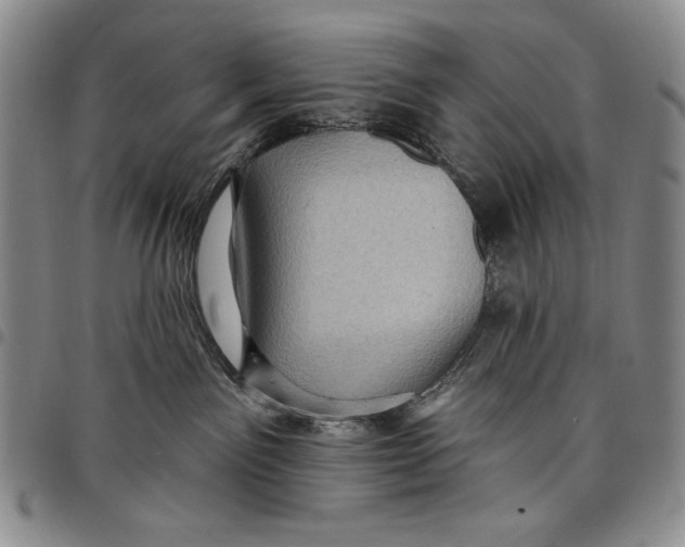 X0000097970141200804141102