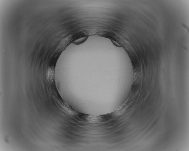 X0000097970142200804141102