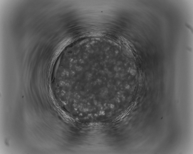 X0000097970145200804141101