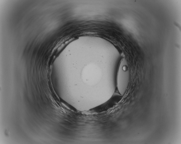 X0000097970146200804141101