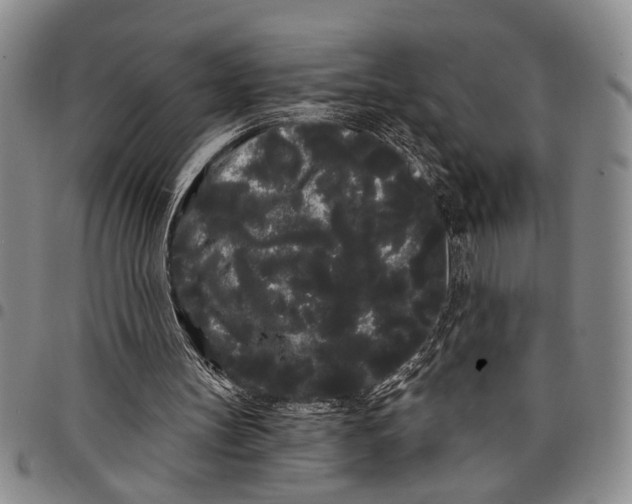 X0000097970147200804141101