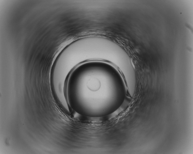 X0000097970148200804141101