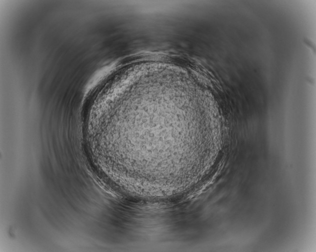 X0000097970149200804141101