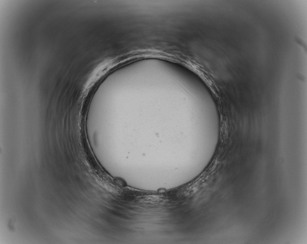 X0000097970151200804141101