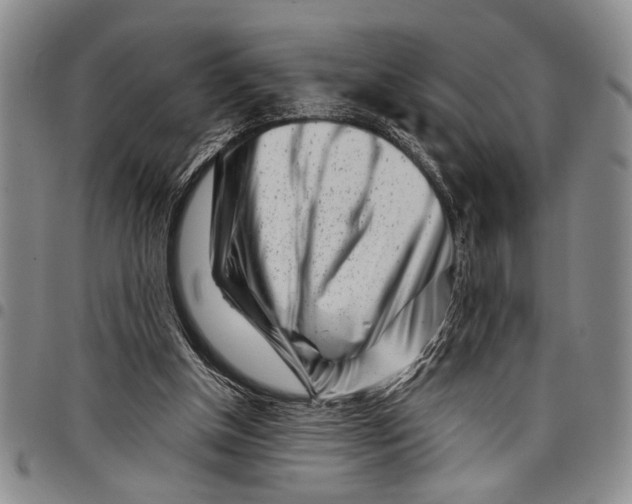 X0000097970154200804141101