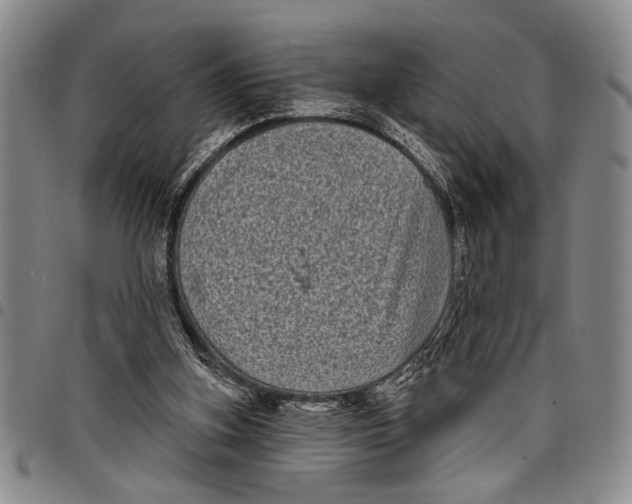 X0000097970155200804141101