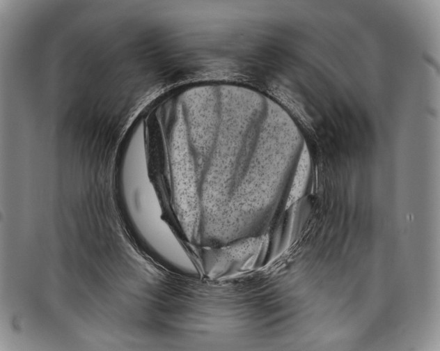 X0000097970156200804141101