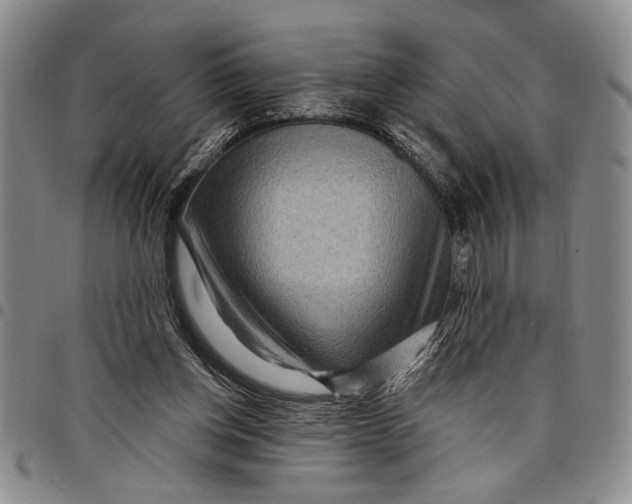 X0000097970158200804141101
