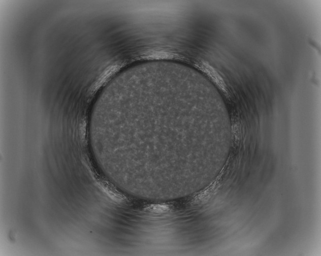 X0000097970159200804141101