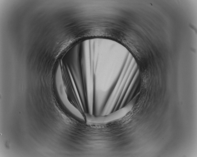 X0000097970160200804141101