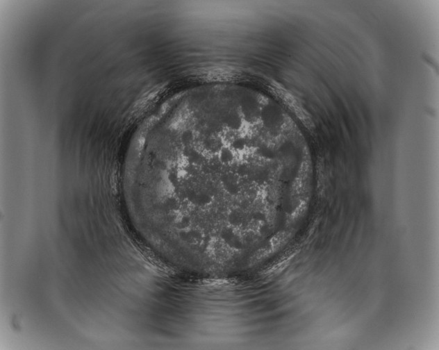 X0000097970161200804141101