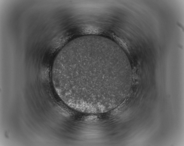 X0000097970162200804141101