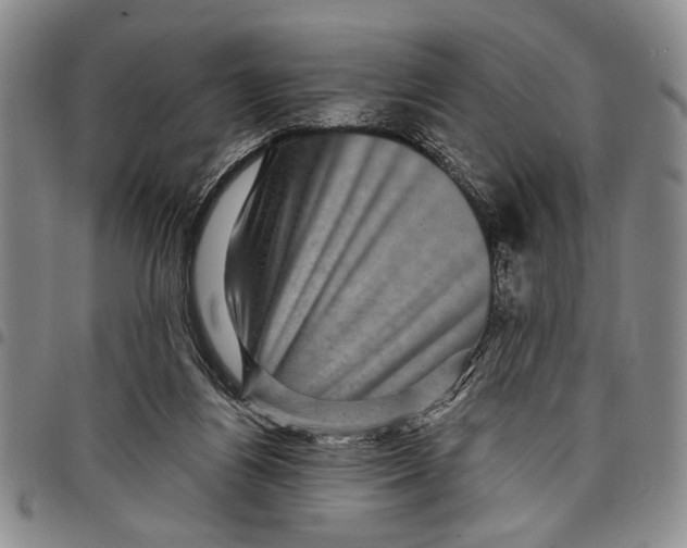 X0000097970164200804141101