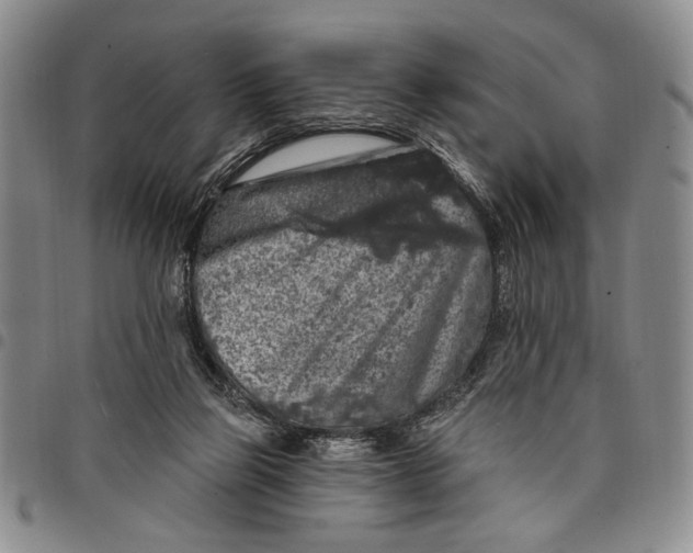 X0000097970165200804141101