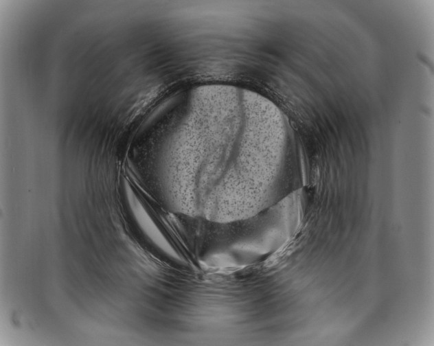 X0000097970168200804141102