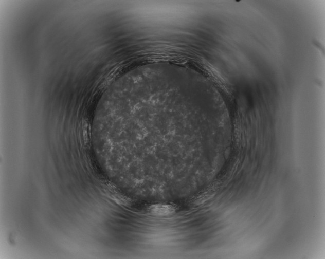 X0000097970169200804141102