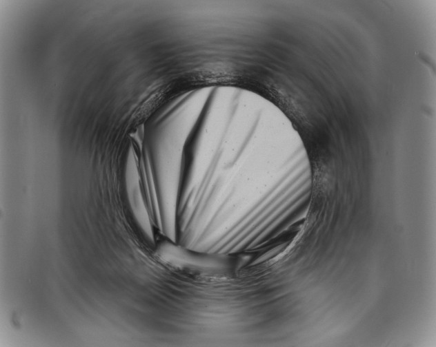 X0000097970170200804141102