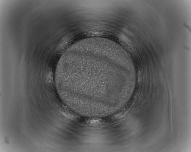 X0000097970173200804141102