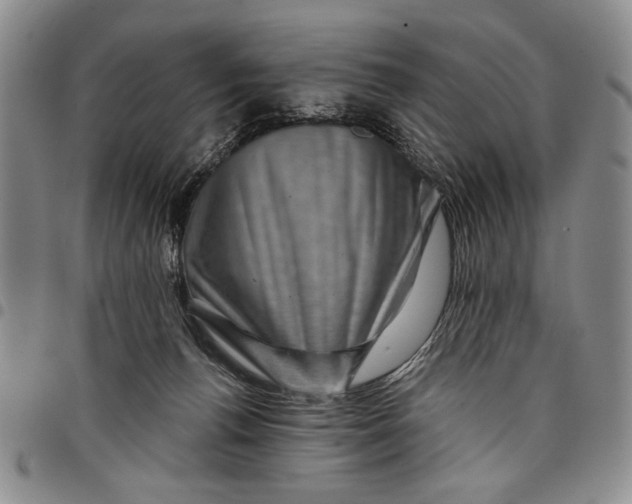 X0000097970176200804141102