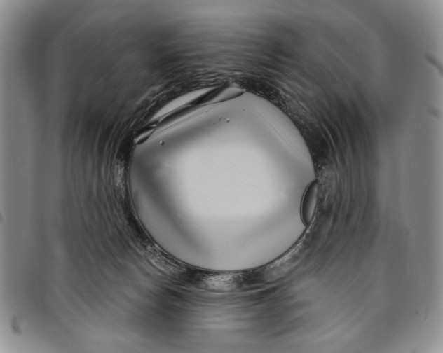 X0000097970178200804141102
