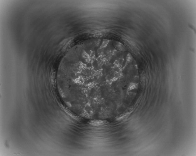 X0000097970181200804141102
