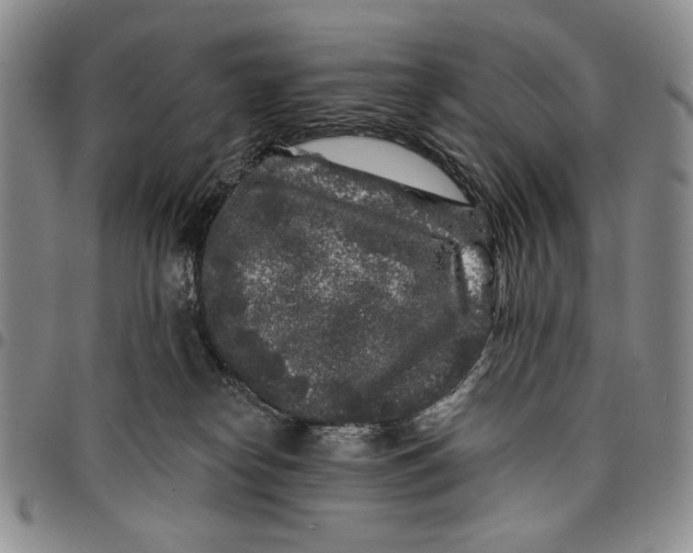 X0000097970182200804141102