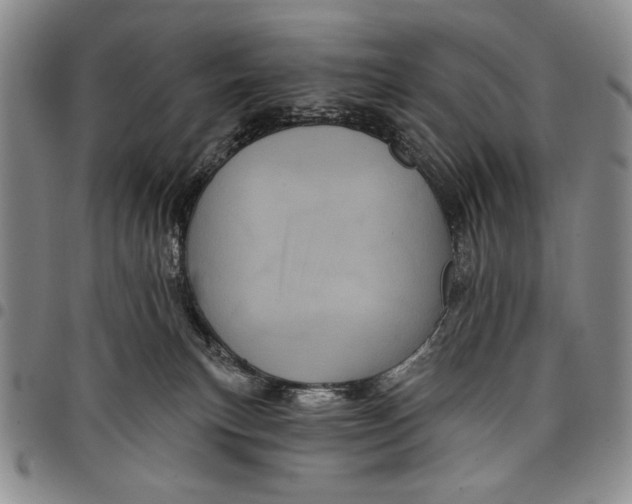 X0000097970183200804141102