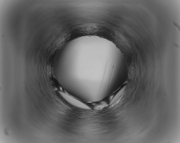 X0000097970184200804141102