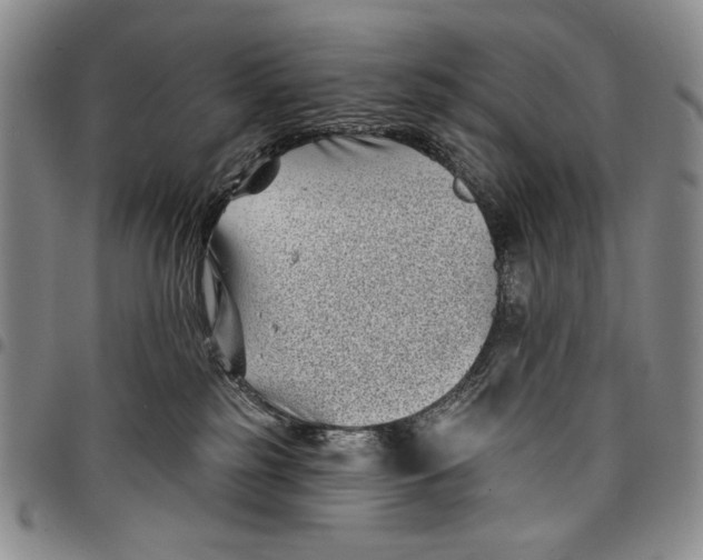 X0000097970185200804141102